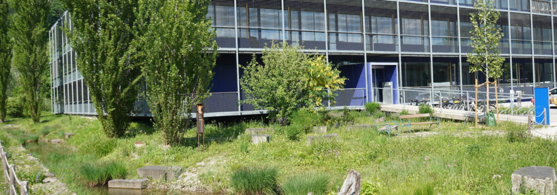 Blick auf ein Firmengebäude, das im Grünen steht. Vor dem Gebäude befinden sich Weiher, Bäume und Wiese