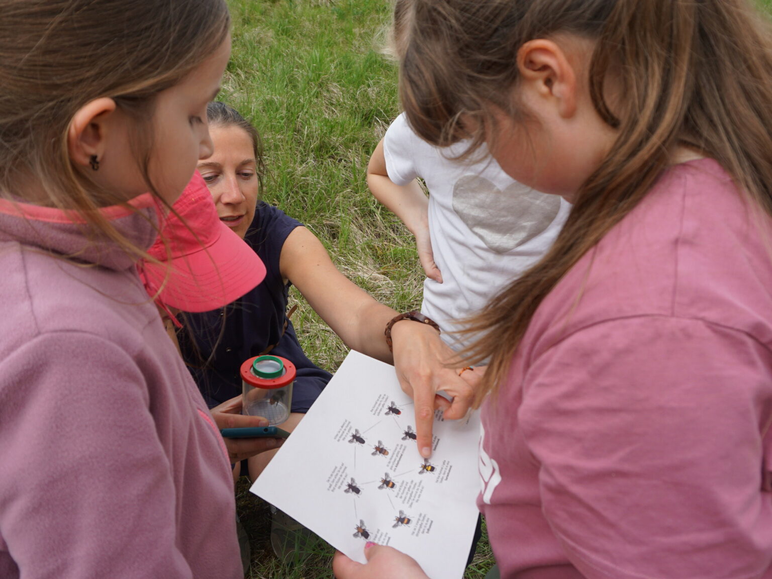 Schüler der Grundschule Engen werden zu Flower Kids – Bodensee-Stiftung