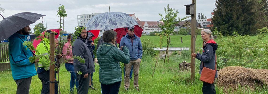 Eine Gruppe von Menschen mit Regenschirmen steht auf einer Wiese. Rechts steht Exkursionsleiterin Katrin Löning.